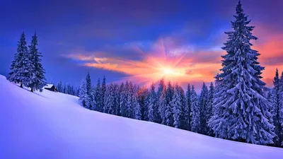 Обои зимняя природа, картинки снежная зима, заснеженный парк, скачать  1600x900