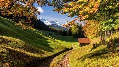 Красивая зеленая природа Альп, Германия Обои для рабочего стола 1600x900
