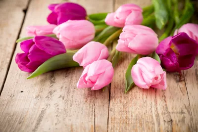 Обои пинк, цветы, букет, тюльпаны, розовые для рабочего стола #130740