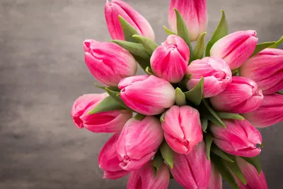 Фон рабочего стола где видно a bouquet of tulips in a vase, spring flowers,  rain, букет тюльпанов в вазе, весенние цветы, дождь