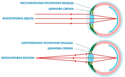 Стереокартинки для тренировки глаз