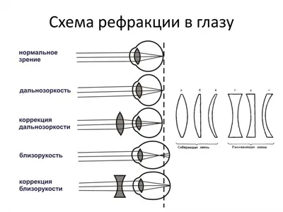 Как научиться видеть в стереокартинке изображение | kawir | Дзен