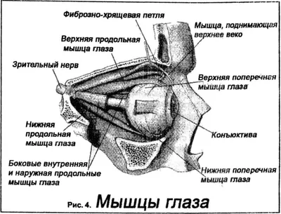 Гелевая маска для глаз охлаждающая и согревающая - снятия усталости,  отеков, расслабления. Маска для сна Z9T (ID#1401711996), цена: 823 ₴,  купить на Prom.ua