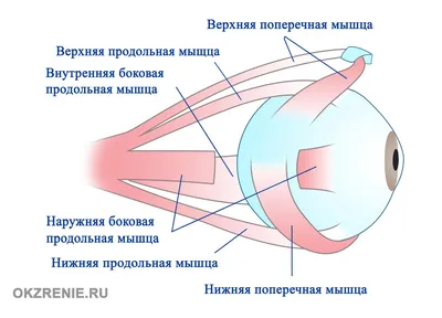 Электрический прибор-маска для глаз / Аппарат-очки для расслабления с  подогревом - купить в Москве, цены на Мегамаркет