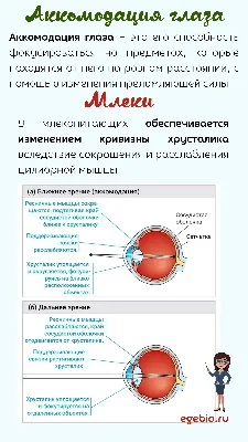 Очки-массажер для глаз (id 48215268), купить в Казахстане, цена на Satu.kz