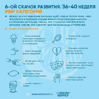 Нормы развития младенцев в 1,2,3,4,5,6,7,8,9,10,11,12,13 месяцев.  Диагностика психического состояния детей до 1 года | Психолог скайп | Дзен