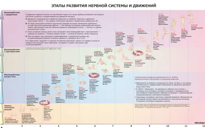 Годовой курс занятий: для детей от рождения до года Эксмо 1860484 купить в  интернет-магазине Wildberries