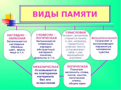 Развитие памяти и внимания у детей младшего школьного возраста -  презентация онлайн