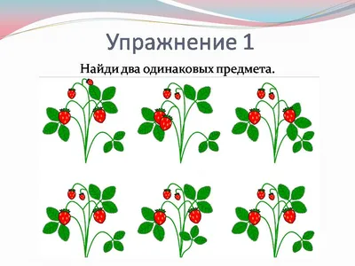 Думаем, Рисуем. Задания на развитие Внимания и Зрительной памят и для Детей  4-5 лет - купить дошкольного обучения в интернет-магазинах, цены на  Мегамаркет |