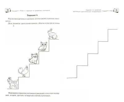 Задания на развитие внимания для детей 6-7 лет распечатать бесплатно