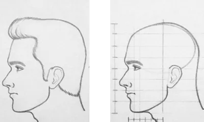 Как нарисовать лицо мужчины | Схемы рисования портрета в профиль, фас и 3/4