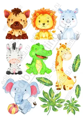 Картинки для торта Животные сафари det024 печать на сахарной бумаге |  Edible-printing.ru