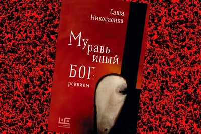 Муж звезды «Дома-2» Саши Черно резко отреагировал на предположение, что у  ее сына другой отец