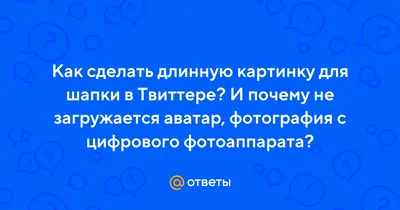 Бесплатные шаблоны шапок для X/Твиттер | Скачать дизайн и макеты для фона  Twitter онлайн | Canva