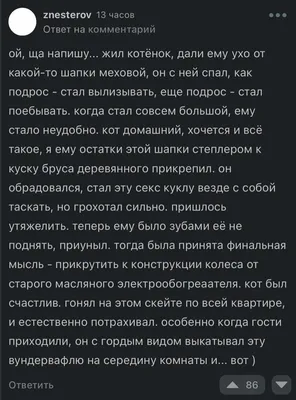 Идеи на тему «Шапки для Twitter» (440) | твиттер, фоны твиттера, заголовок  twitter