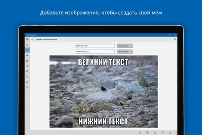 Создать мем: генератор мемов онлайн легко | Fotor