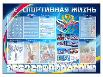 Спортивный уголок SportBaby Юнга 3-240. Детский комплекс для дома