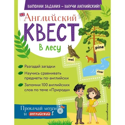 Английский квест. В лесу. Степени сравнения прилагательных и 100 полезных  слов. Бус Р.Е. - купить книги по обучению и развитию детей в  интернет-магазинах, цены на Мегамаркет | 7795506