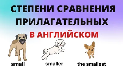 Задание 4 устной части ЕГЭ по английскому. Как сравнивать и описывать  картинки на 10 баллов? | Английский с Алекс Дар | Дзен