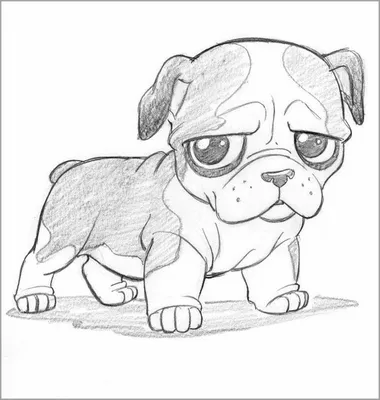 Рисунки для срисовки карандашом 🥝 очень простые и крутые, чтобы легко  срисовывать | Cute animal drawings, Cute dog drawing, Sea animals drawings