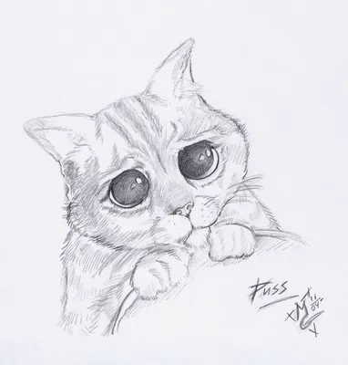 Рисунки котенка карандашом для срисовки (31 фото) 🔥 Прикольные картинки и  юмор