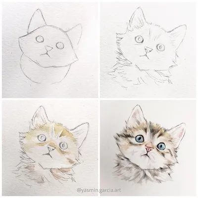 Котята маленькие рисунки (22 фото) » Рисунки для срисовки и не только