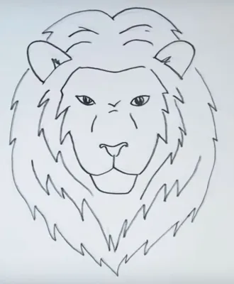 Рисунки льва для срисовки (18 фото) 🔥 Прикольные картинки и юмор |  Рисунки, Рисунок карандашом, Рисовать