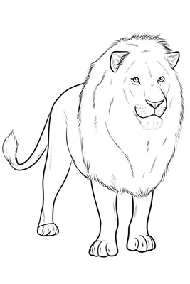 Рисунки льва для срисовки (18 фото) 🔥 Прикольные картинки и юмор