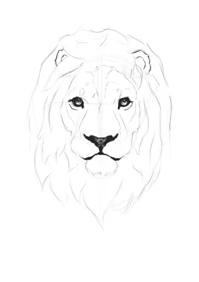 Картинка лев с короной ❤ для срисовки