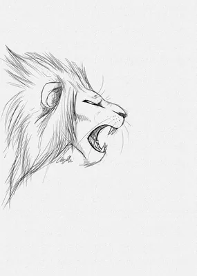 Рисунок карандашом льва для срисовки - 77 фото