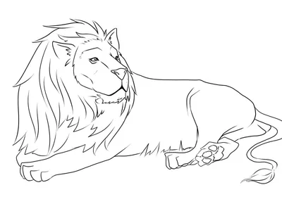 Как нарисовать льва карандашом. Поэтапный туториал. - YouTube