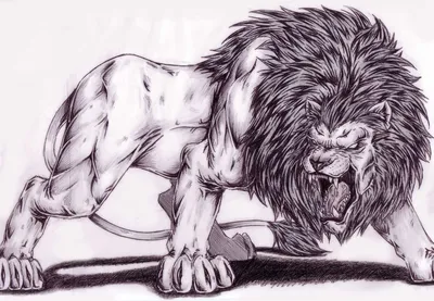 Крутые рисунки для срисовки | Panther tattoo, Black panther drawing, Black  panther tattoo