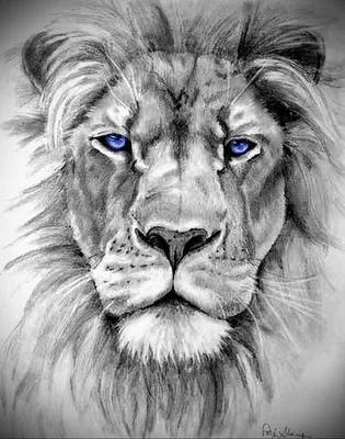 Мастер-класс по аппликации с элементами рисования «Лев — царь зверей» ко  Всемирному Дню льва на МAAM (20 фото). Воспитателям детских садов, школьным  учителям и педагогам - Маам.ру