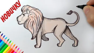 Рисунки льва для срисовки (100 фото) • Прикольные картинки KLike.net