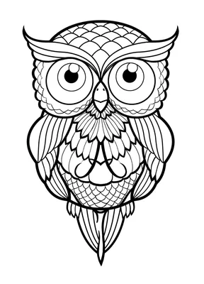 Как нарисовать СОВУ / Раскраска СОВА для детей / рисунки для срисовки / How  to Draw an Owl - YouTube