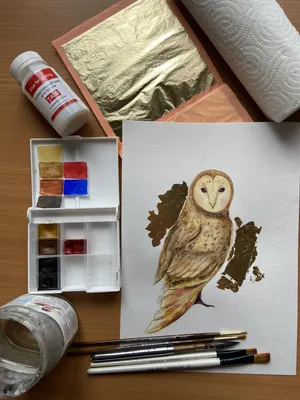 Картинки совы карандашом для срисовки
