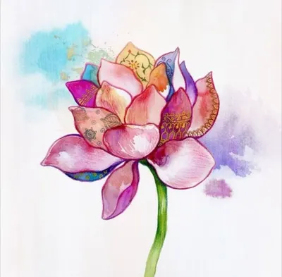 рисунки карандашом для срисовки очень легкие и красивые цветы: 6 тыс  изображений найдено в Яндекс.Картинках | Sketch book, Art reference photos,  Art journal