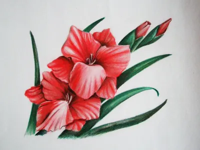 Рисунки цветов для срисовки легкие - 45 фото