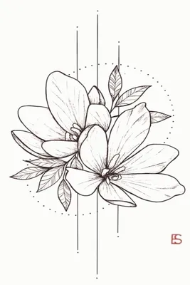 Рисунки цветов для срисовки - 100 картинок » Dosuga.net — Сайт Хорошего  Настроения