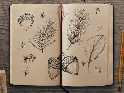 Рисунки для срисовки в личный дневник (ЛД) скетчбук / Лёгкие для начинающих  / Лайк АРТ | Like ART | Дзен