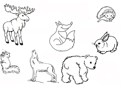 Рисунки милашки животные легкие карандашом для начинающих (50 фото) »  рисунки для срисовки на Газ-квас.ком