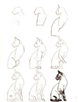 Рисунки животных для срисовки лёгкие - 135 фото