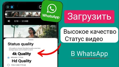 Как в WhatsApp скрыть от всех свой онлайн-статус? | Техпросвет | Дзен