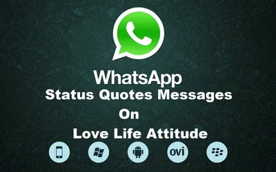 Лайфхак для профессионала: «Как использовать «Статус» в WhatsApp в виде  ненавязчивой рекламы»