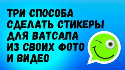 Темная тема для ПК, анимированные стикеры: вышло большое обновление WhatsApp