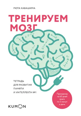 Развитие памяти у ребенка: как улучшить детскую память