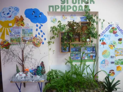 Как организовать уголок природы в детском саду? | ДО online