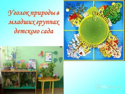 Календарь природы в детском саду (арт.ДСКП-06) купить в Барнауле с  доставкой: выгодные цены в интернет-магазине АзбукаДекор