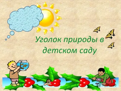 Презентация на тему: \"Уголок природы в младших группах детского сада. Дети  всегда и везде в той или иной форме соприкасаются с природой. Зеленые леса  и луга, яркие цветы, бабочки,\". Скачать бесплатно и