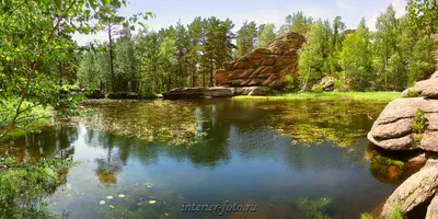 Уголок природы фото | ФОТОВЫСТАВКА